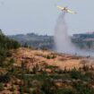 Auch ein Löschflugzeug hilft dabei, das Feuer bei Ilsenburg unter Kontrolle zu bringen. Foto: Matthias Bein/dpa