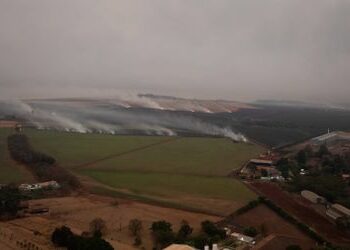 Brasilien kämpft mit Militärflugzeugen gegen Tausende Brandherde