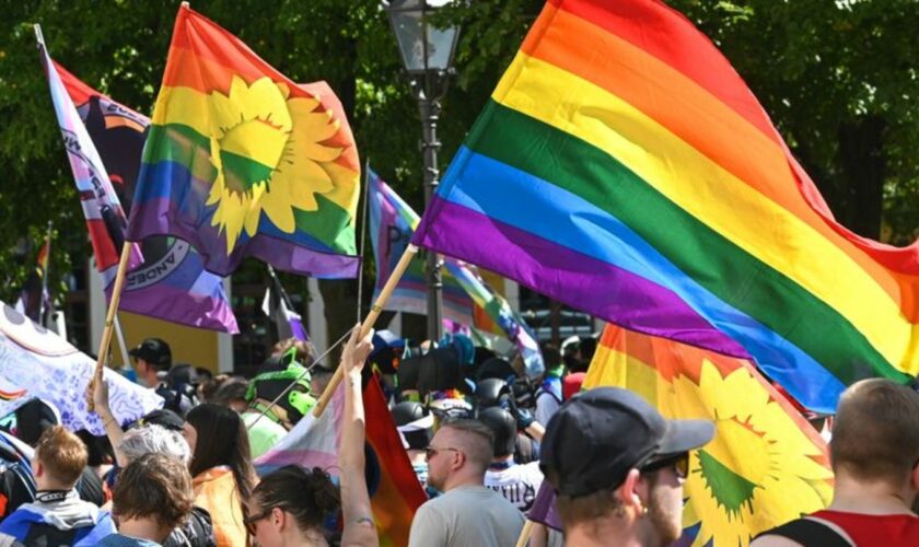 Zum Christopher Street Day in Magdeburg gab es eine queere Parade mit Hunderten Teilnehmerinnen und Teilnehmern durch die Innens