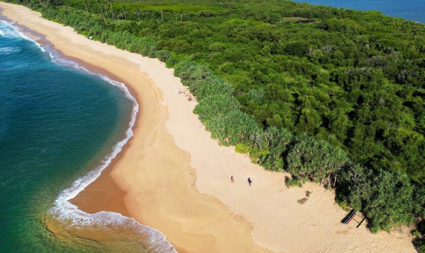 Carnet de voyage au Sri Lanka, paradis pour surfeurs néophytes