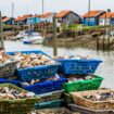 De la «guerre des beignets» à celle des cabanes à huîtres, ces querelles touristiques qui jalonnent l’été