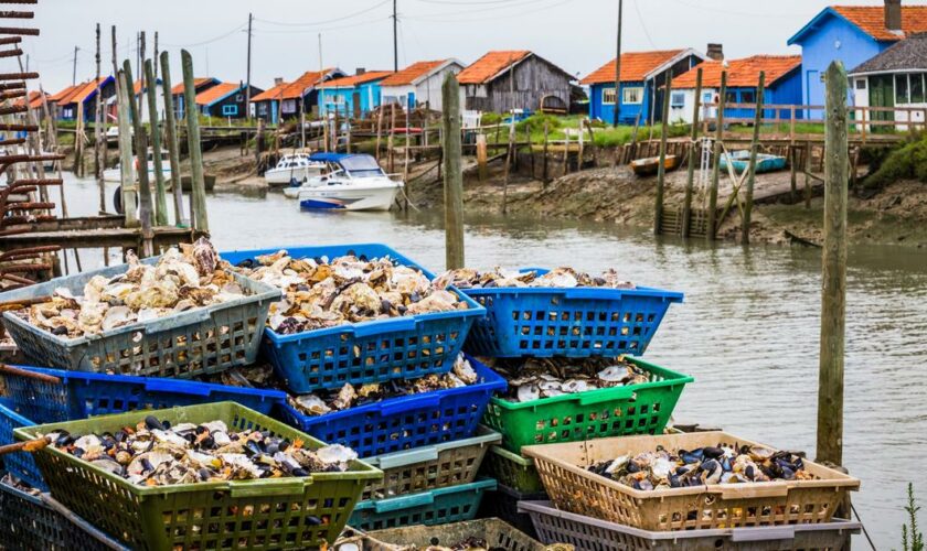 De la «guerre des beignets» à celle des cabanes à huîtres, ces querelles touristiques qui jalonnent l’été