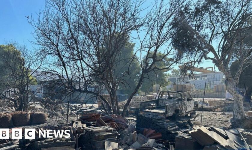 Deadly fires edge closer to Athens as suburbs count cost