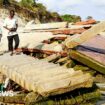 Despair as the sea slowly swallows a Kenyan beauty spot