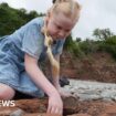 Dino-hunting girl discovers giant footprints on beach walk