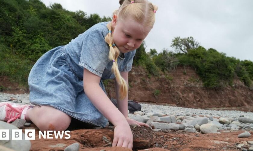 Dino-hunting girl discovers giant footprints on beach walk