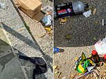 'Disgusted' Notting Hill locals who moved out over the Carnival weekend say they've returned to find women's underwear, smashed bottles and even human excrement outside homes