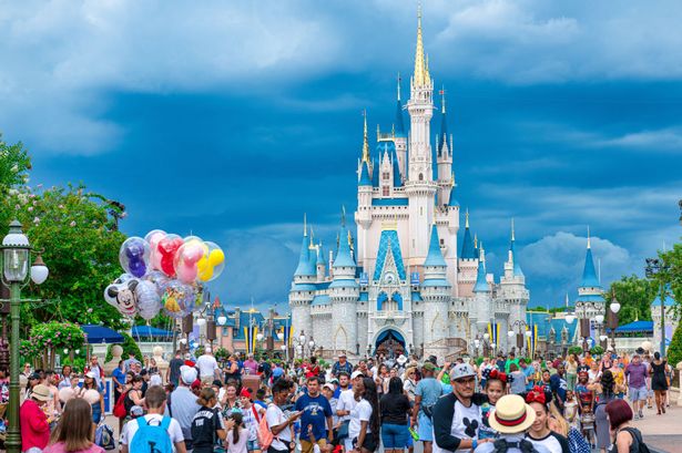 Disney World says man can't sue over wife's allergy death because of free Disney+ trial