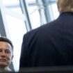 Donald Trump und Elon Musk auf X: Politische Kameraden mit gemeinsamen Interessen