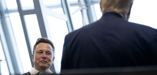 Donald Trump und Elon Musk auf X: Politische Kameraden mit gemeinsamen Interessen