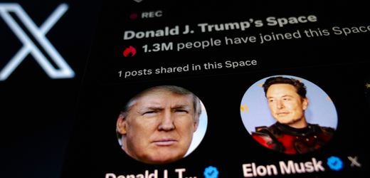 Donald Trump und seine »Bromance« mit Elon Musk: Ein Safe Space für zwei Turteltäubchen