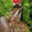 Doubs : un spéléologue découvre des conteneurs parachutés en forêt durant la Seconde Guerre mondiale