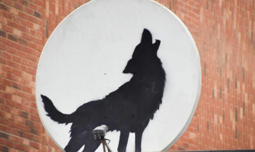 Ein von Banksy auf einer Satellitenschüssel aufgesprühter Wolf