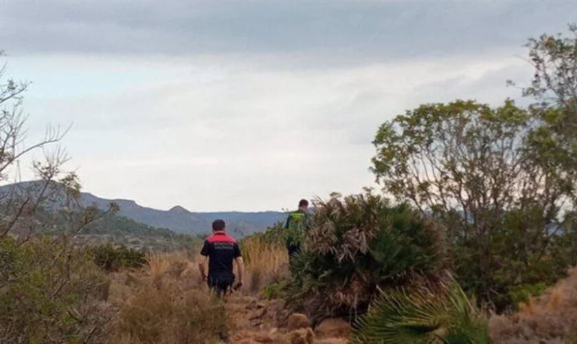 Drones y cámaras de visión nocturna para encontrar al toro desaparecido en Castellón