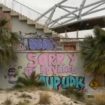 'Eerie and apocalyptic' Olympic stadium abandoned and reclaimed by nature