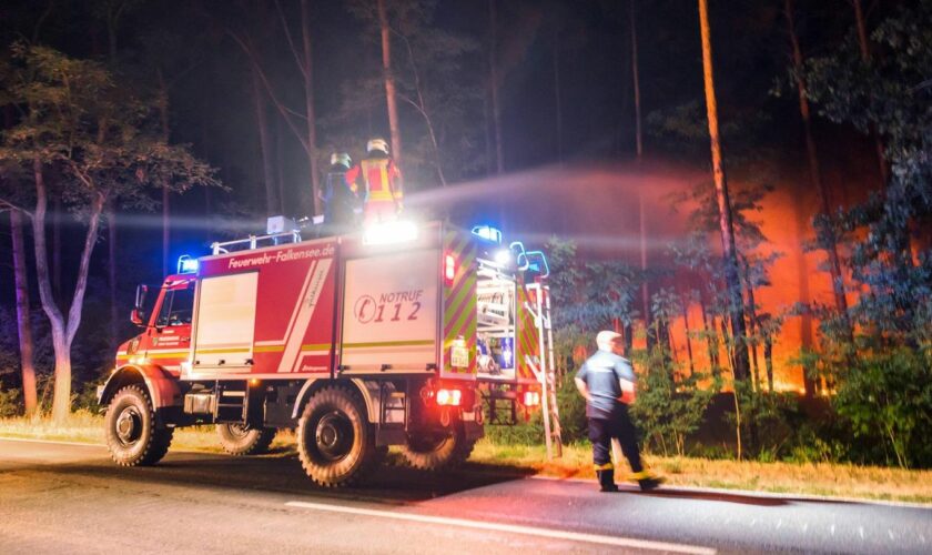 Auf den ehemaligen Truppenübungsplätzen in Brandenburg brechen immer wieder Feuer aus