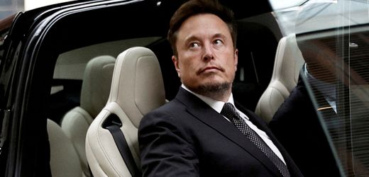 Elon Musk: Tesla-Boss wirbt mit Klima-Ignoranz um Verbrenner-Fans