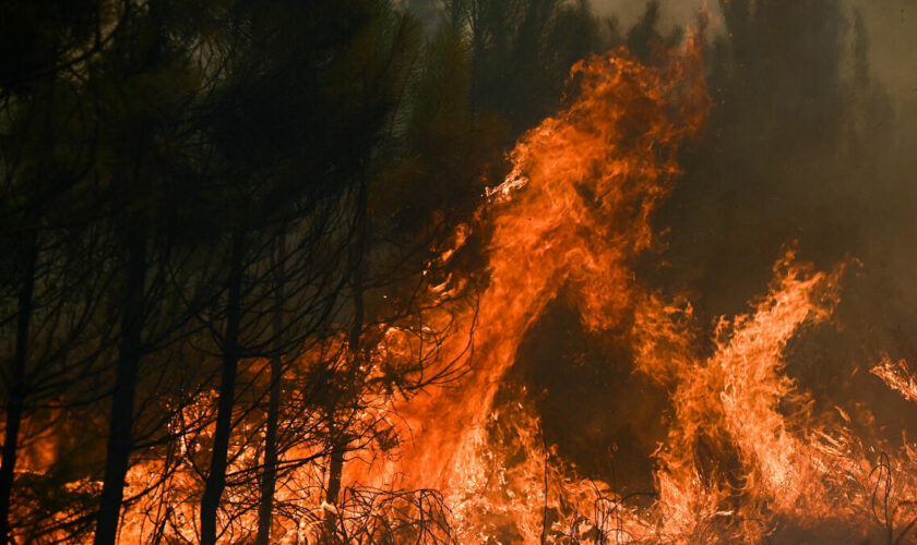 Feux de forêt : météo, réactivité… pourquoi la France reste (pour l’instant) épargnée cet été