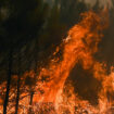 Feux de forêt : météo, réactivité… pourquoi la France reste (pour l’instant) épargnée cet été