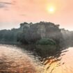 Forêt impénétrable, bancs de sable, oiseaux remarquables… Au Congo, croisière secrète au fil de l’eau