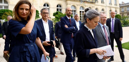 Frankreichs Linke ruft zu Protest gegen Präsident Emmanuel Macron auf