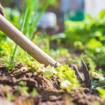 Gartendeals: Boden wird mit einer Hacke bearbeitet