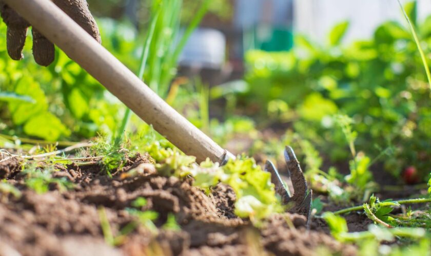 Gartendeals: Boden wird mit einer Hacke bearbeitet