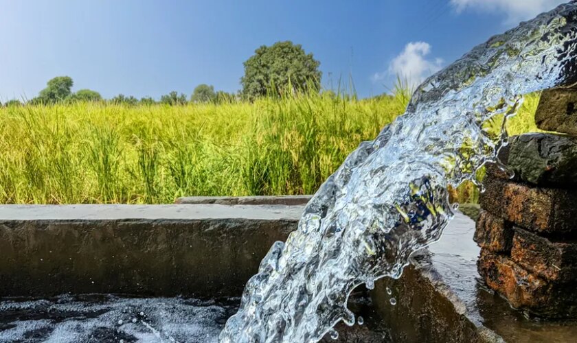 Génesis, IA para mejorar la gestión del agua