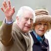 Inside King Charles' cancer battle: Why 75-year-old monarch could only give Prince Harry 30 minutes of his time, why he has not lost his hair and the real reason he has not revealed which type of the disease he is fighting