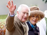 Inside King Charles' cancer battle: Why 75-year-old monarch could only give Prince Harry 30 minutes of his time, why he has not lost his hair and the real reason he has not revealed which type of the disease he is fighting