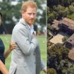 Inside Meghan Markle's 'struggles running a 9-bed £12million mansion with 15 staff'