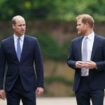 Inside angry phone call that 'split Prince William and Prince Harry's households