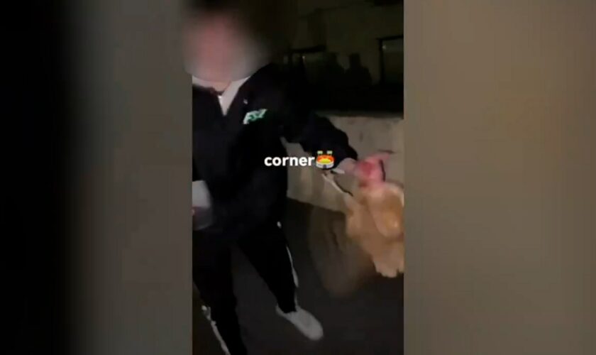 Investigan a dos jóvenes por utilizar una gallina como balón de fútbol en un municipio riojano