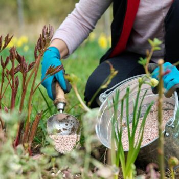 Frühlingsarbeit am Blumenbeet im Garten