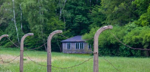 KZ Langenstein-Zwieberge in Halberstadt: Heftiger Streit nach Verkauf an Investor