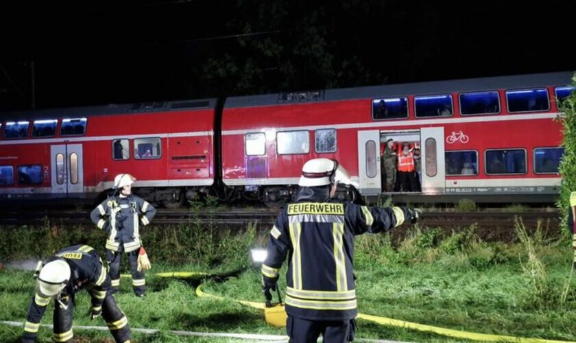 Am Bahnhof Augustfehn in Apen stürzt ein Baum auf eine Oberleitung und bringt den Zugverkehr zum Erliegen. Foto: Nord-West-Media