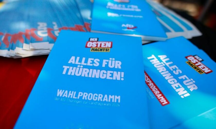 Die AfD kann laut Umfrage bei der Wahl in Thüringen damit rechnen, stärkste Partei zu werden. Foto: Matthias Bein/dpa