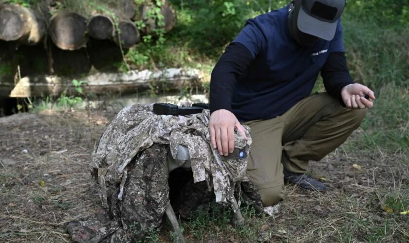 Los perros robot que ayudarán a los militares de Ucrania en el frente