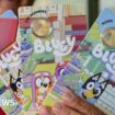 Man charged over theft of Bluey coins worth $400,000