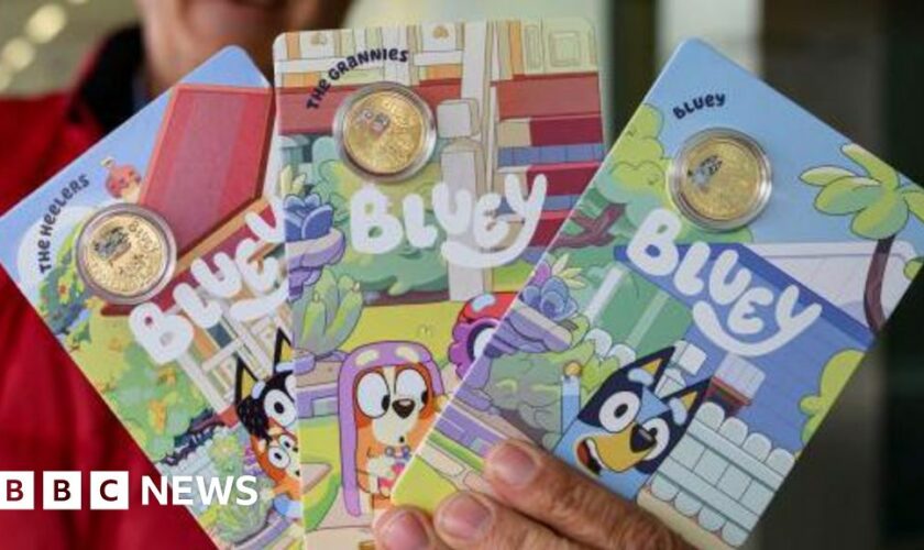 Man charged over theft of Bluey coins worth $400,000