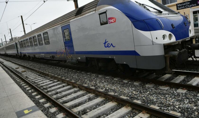 Marseille : un homme endormi sur les rails meurt écrasé par un train