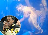 Moment Travis Scott is arrested and bundled into the back of a French cop car as details of 'drunk' 5am fight in Parisian five-star hotel emerge