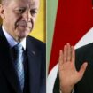 Moyen-Orient: pourquoi le Turc Erdogan tend aujourd’hui la main à son ennemi syrien Bachar el-Assad