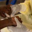 Mpox: le plus haut niveau d'alerte mondiale déclenché par l’OMS