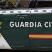 Muere un agente de la Guardia Civil a los 53 años tras ser picado por una avispa en su finca de Villaquejida (León)