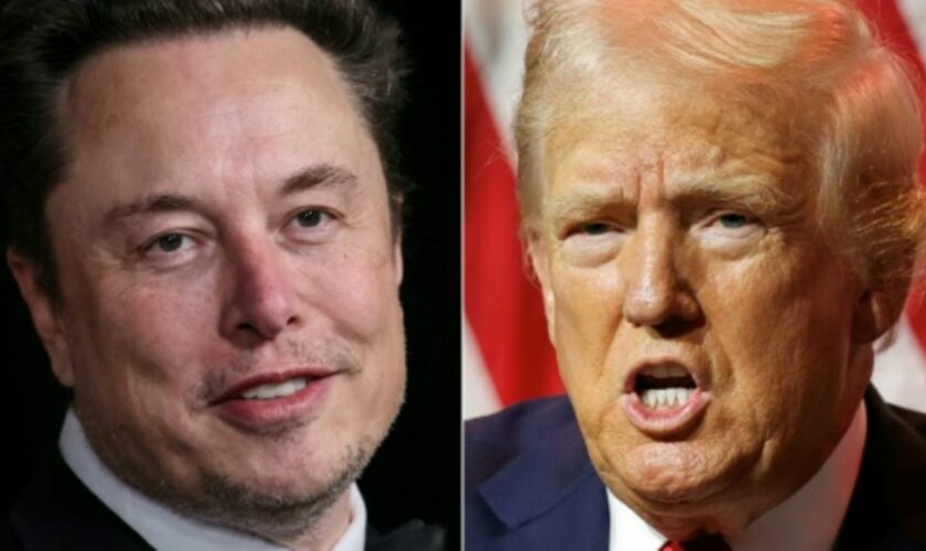 Elon Musk (links) und Donald Trump