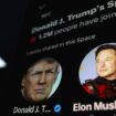 Musk and Trump's chat on X hit by glitches and misinformation