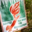 Wegen der steigenden Waldbrandgefahr sollen in Niederbayern drei Beobachtungsflüge stattfinden. (Symbolbild) Foto: Stefan Sauer/