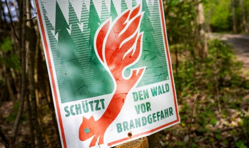 Wegen der steigenden Waldbrandgefahr sollen in Niederbayern drei Beobachtungsflüge stattfinden. (Symbolbild) Foto: Stefan Sauer/