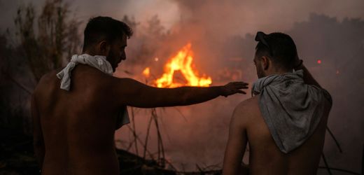 Neuer Waldbrand-Report: Der Klimawandel als Brandbeschleuniger